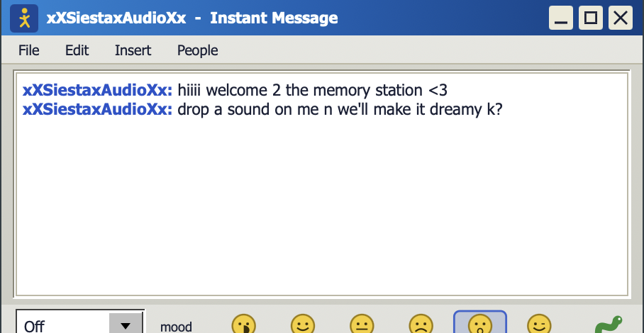 The chat window. Type into it and what you type is saved with your session.